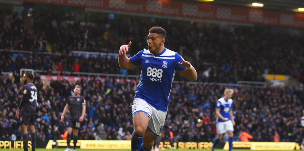 Norwich to challenge Southampton and Burnley to signing of Adams