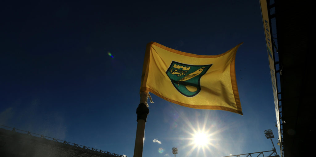 Four reasons why Krovinovic would be a good signing for Norwich