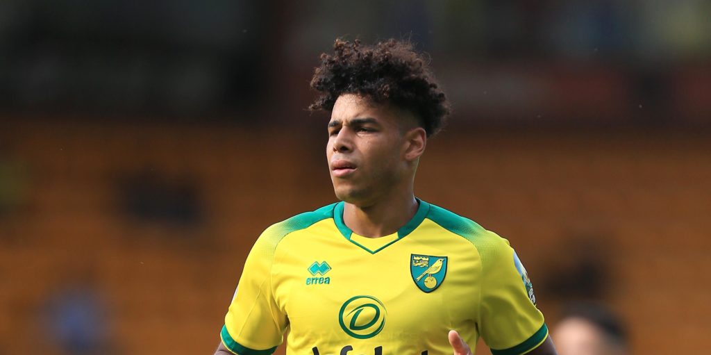 “April fools” – These Norwich fans react to Hernandez injury