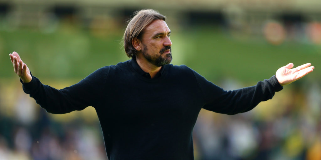 Norwich player ratings: Newcastle (H)