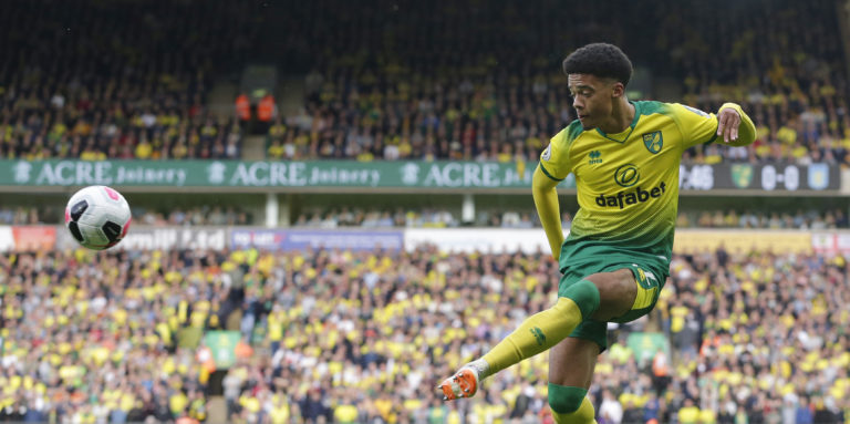 These Norwich fans react to Lewis injury