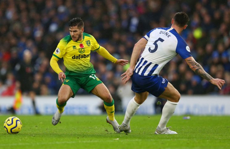 Brighton & Hove Albion v Norwich City - Premier League Steve Bardens/Getty Images Sport