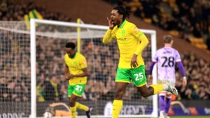 Norwich City 2, Sheffield Wednesday 0 – Five things, incl Emi successor & Gibbs conundrum