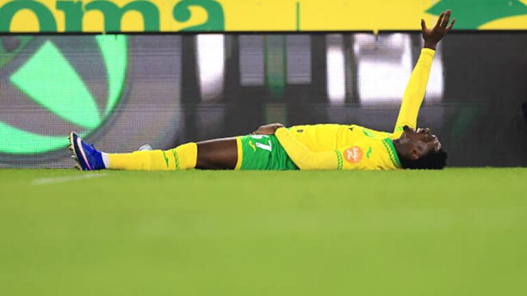Mohamed Toure World Cup Run Gives Norwich A Clement Dilemma