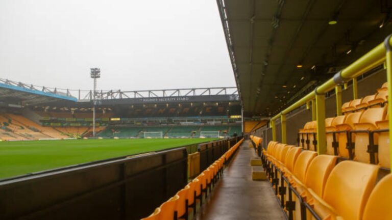 Bruno Alves has clear route to Norwich City transfer