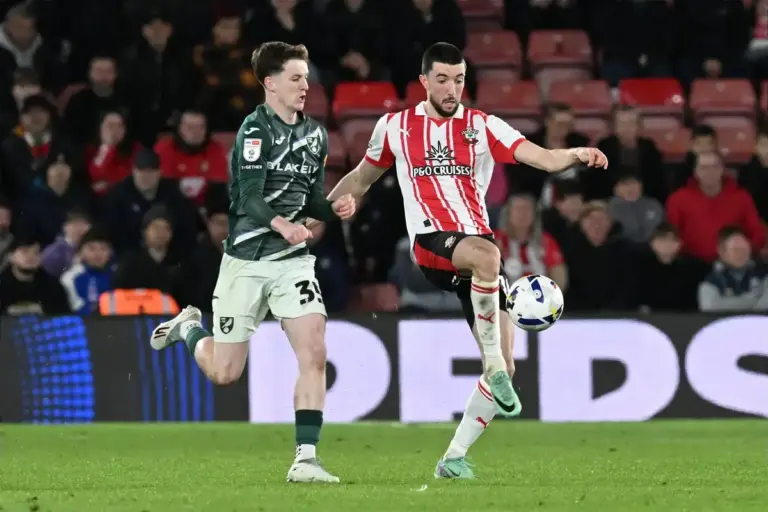 Southampton 1-0 Norwich City: What did we learn?