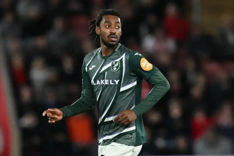 Three key positions Norwich City need to prioritise strengthening this summer