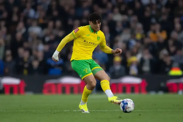 Why Norwich City don’t need to sign a new left-back this summer
