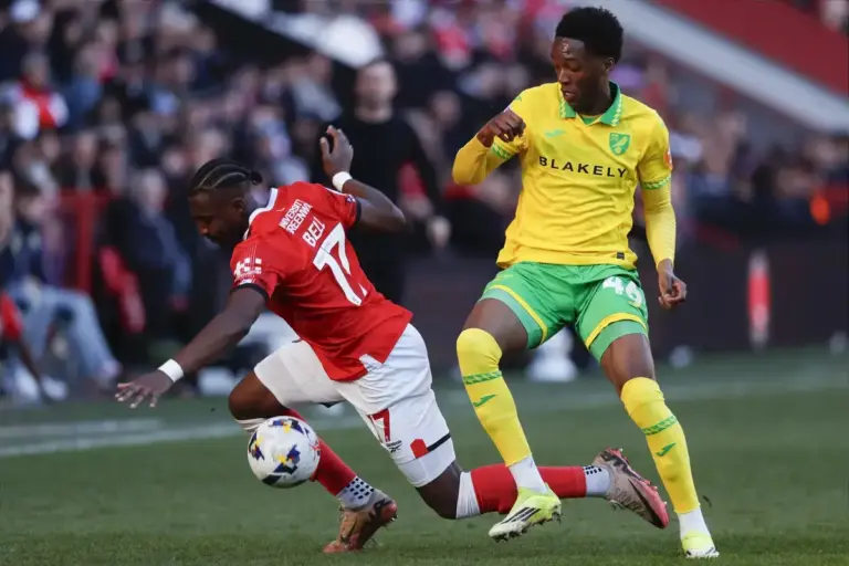 How Norwich City can avoid creating their next Adam Idah