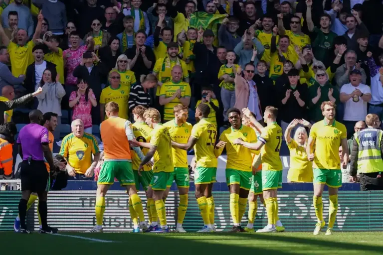 How will the Norwich City squad shape up next season?