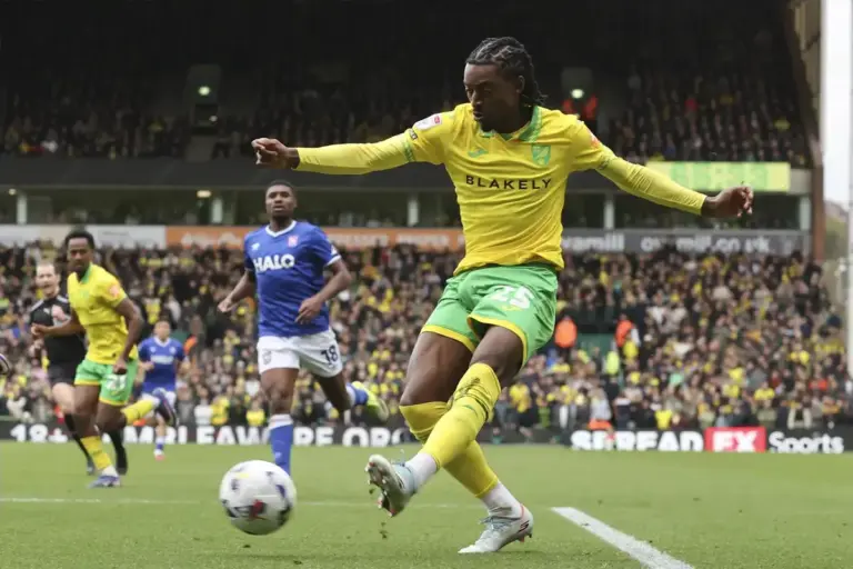 Norwich City’s end-of-season ratings: The attacking midfielders