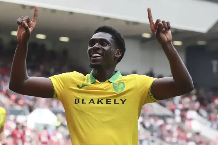 Bristol City vs Norwich City: Canaries player ratings