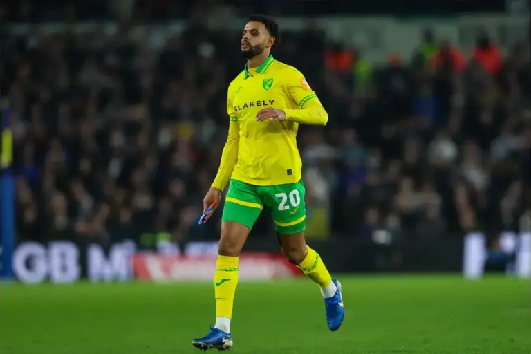 Norwich City – Player of the season candidate: Anis Ben Slimane