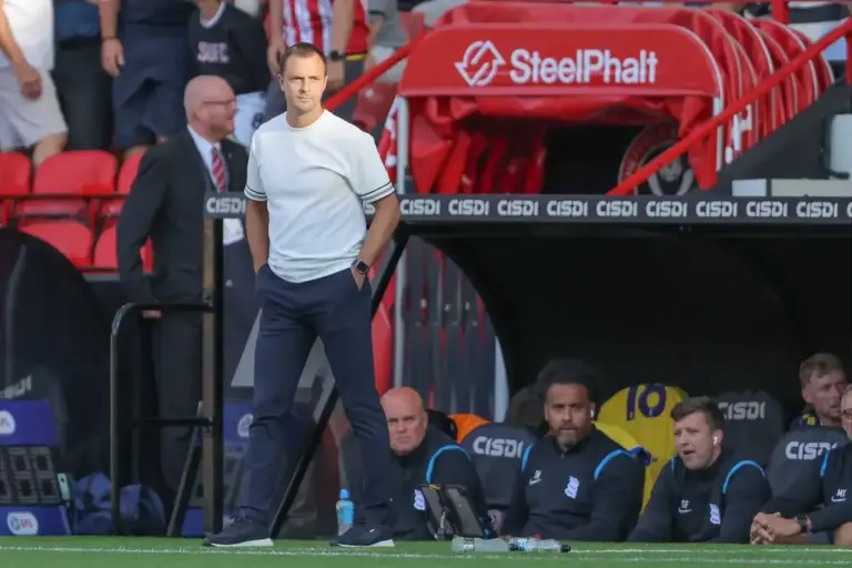 Chris Davies blames officials as Norwich City grind out victory